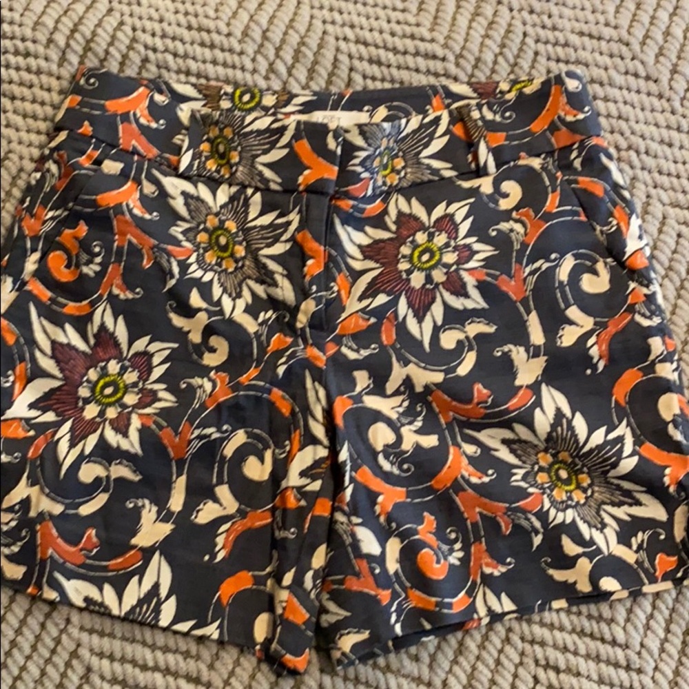 Loft shorts